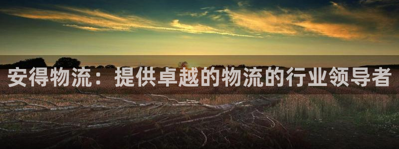 28圈充值不到账怎么回事：安得物流：