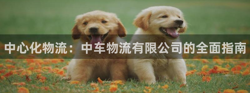 28圈可以退款吗