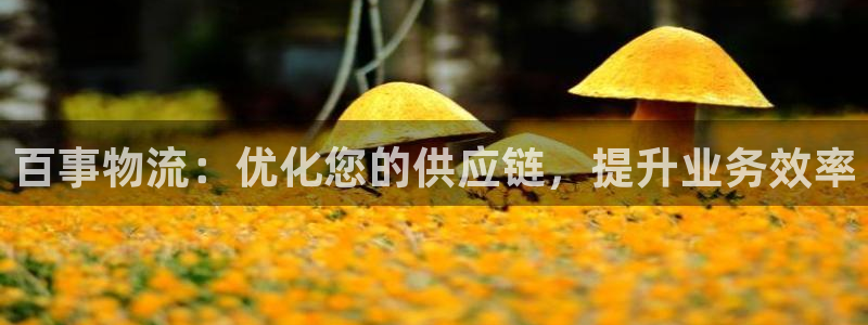 28圈注册网站链接：百事物流：优化您