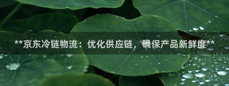 28圈黑款：**京东冷链物流：优化供