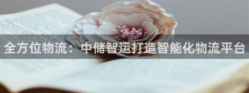 28圈忘记账号：全方位物流：中储智运