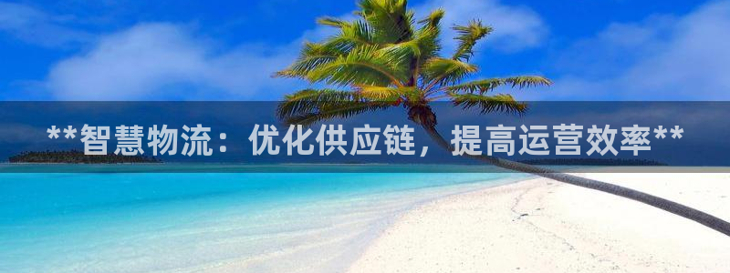 28圈注册网页：**智慧物流：优化供