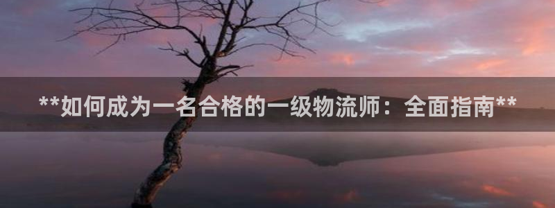28圈模拟器在线使用：**如何成为一