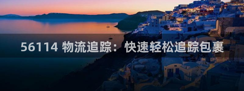 28圈充值：56114 物流追踪：快速轻松追踪包裹