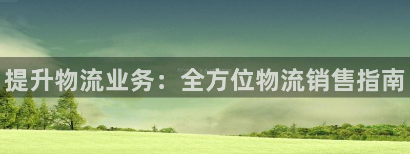 28圈取保：提升物流业务：全方位物流