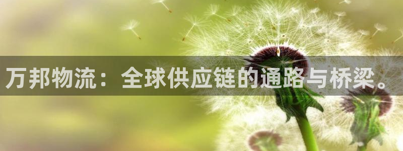 28圈电子游戏