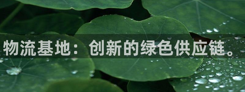 28圈激活码