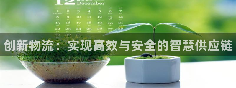 28圈如何退款:创新物流:实现高效与