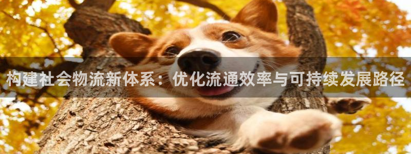 28圈开奖预测：构建社会物流新体系：优化流通效率与可持续发展