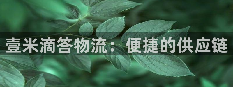 28圈app怎么注册账号：壹米滴答物