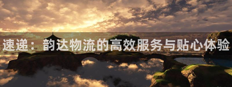 28圈反水：速递：韵达物流的高效服务