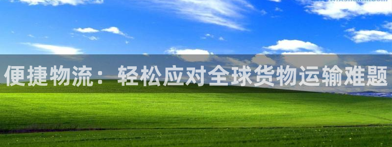 28圈aPP退款：便捷物流：轻松应对
