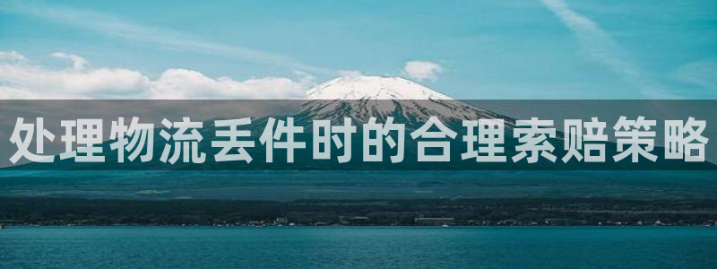 28圈加拿大：处理物流丢件时的合理索