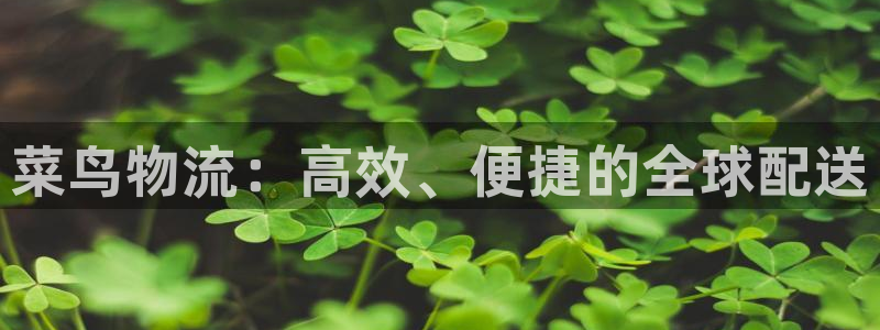 28圈登录网：菜鸟物流：高效、便捷的
