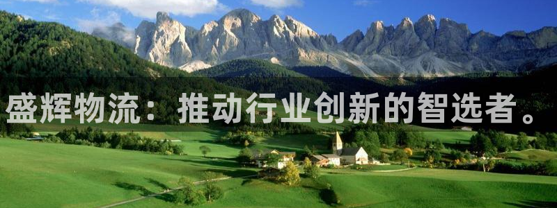 28圈反水怎么算：盛辉物流：推动行业创新的智选者。