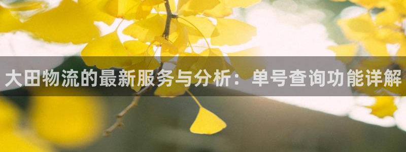 28圈：大田物流的最新服务与分析：单