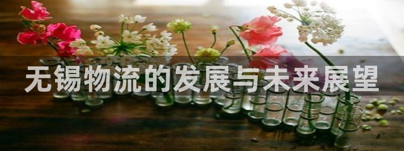 28圈软件是什么：无锡物流的发展与未