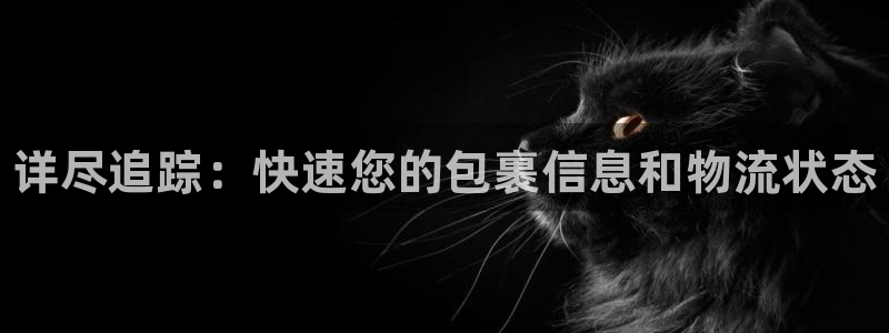 28圈推广链接是多少粉丝：详尽追踪：