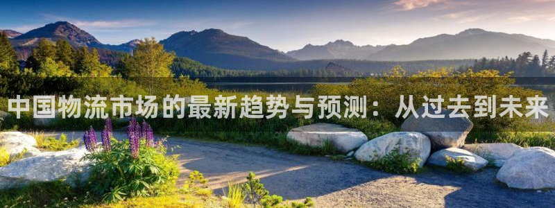 28圈最稳打法：中国物流市场的最新趋