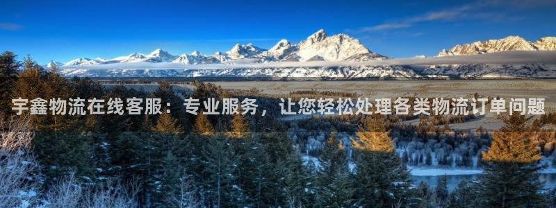 28圈分分28预测：宇鑫物流在线客服