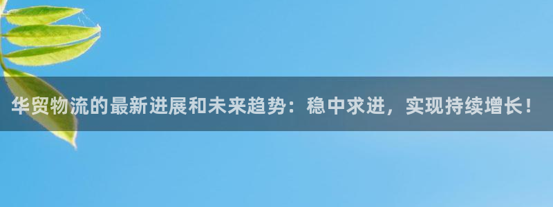 加拿大28圈是什么：华贸物流的最新进