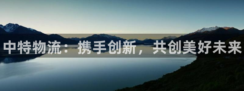 28圈如何退款：中特物流：携手创新，