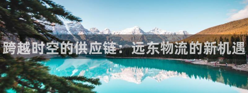 28圈官方网站是多少：跨越时空的供应