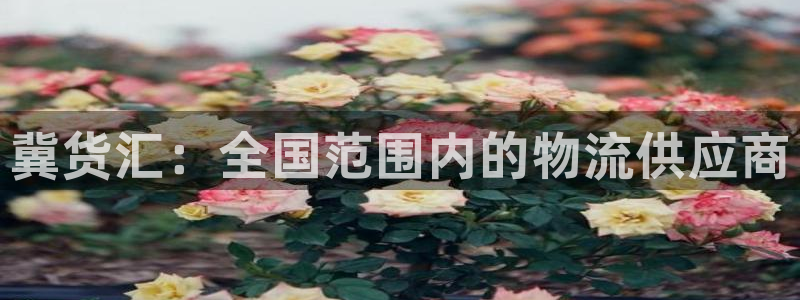 28圈软件有什么用