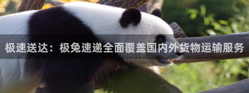 28圈初始资金密码在哪里改